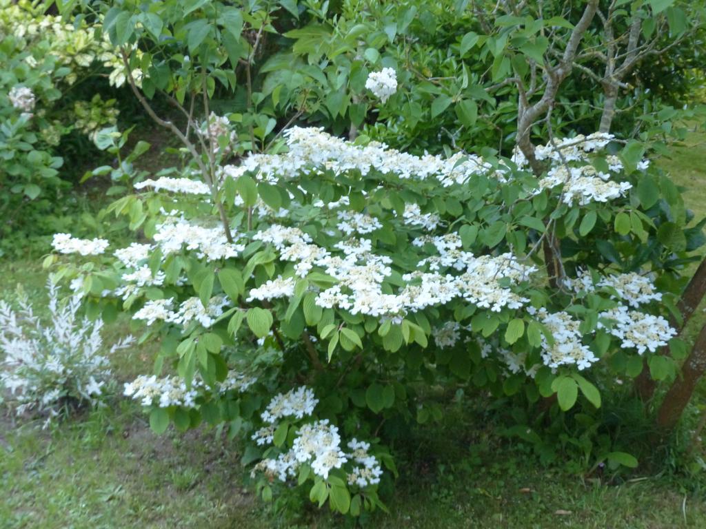 La Flore De Lys, Cottage Ideal Pour 2 Adultes Et 2 Enfants Saint-Jouin-Bruneval 部屋 写真
