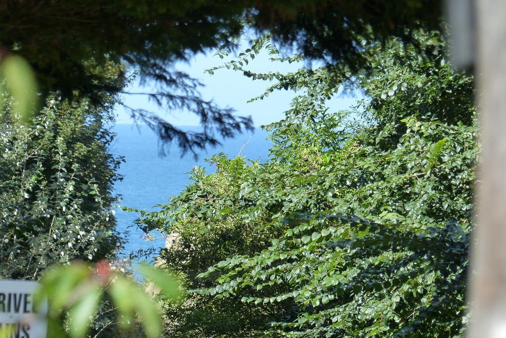 La Flore De Lys, Cottage Ideal Pour 2 Adultes Et 2 Enfants Saint-Jouin-Bruneval エクステリア 写真